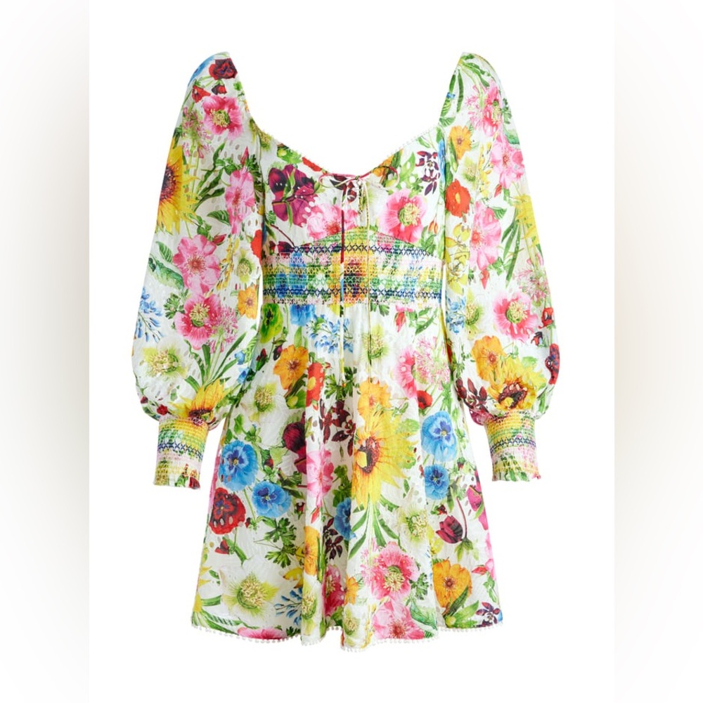 Alice + Olivia Floral Embroidered Minidress 🌻🌹🌸